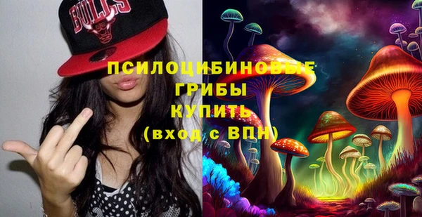 ГАЛЛЮЦИНОГЕННЫЕ ГРИБЫ Санкт-Петербург